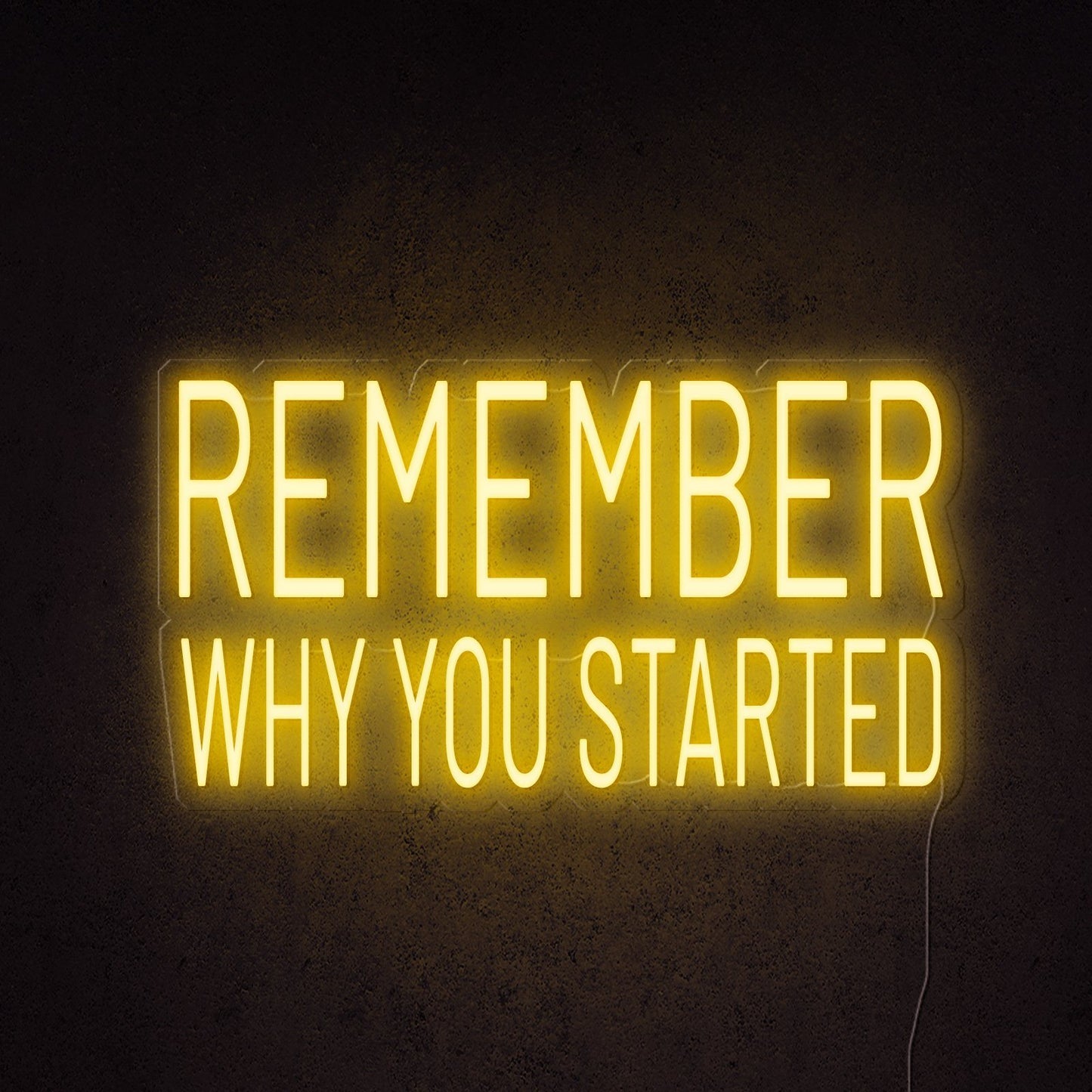 Remember Why You Started Neon Sign